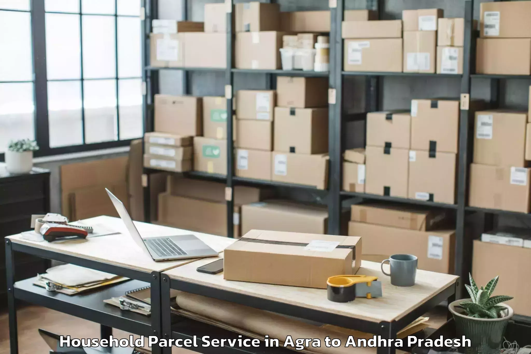 Professional Agra to Nidamanur Household Parcel